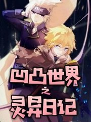 日本jjzz文化